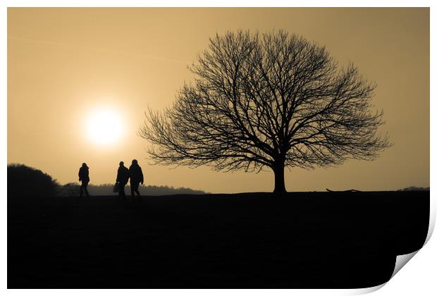 Sunset Silhouettes Print by George Cairns