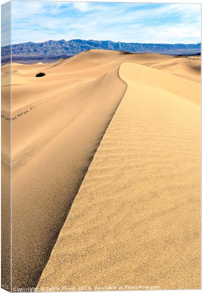 Sand Dune ridge in Death Valley National Park Canvas Print by Jamie Pham