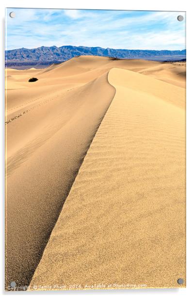 Sand Dune ridge in Death Valley National Park Acrylic by Jamie Pham