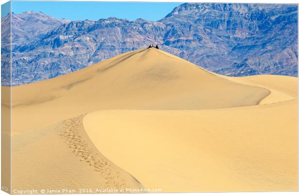 People sitting on top of a large sand dune in Deat Canvas Print by Jamie Pham