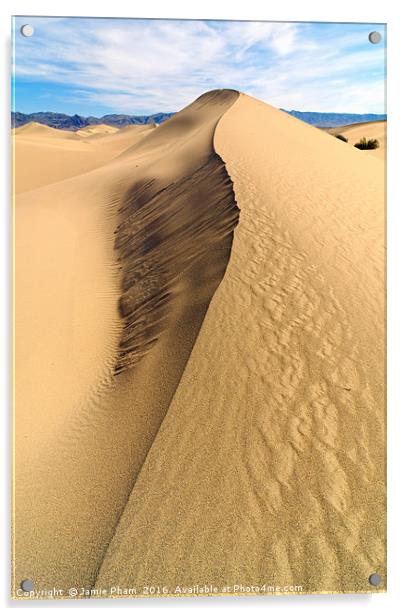 Collapsed sand dune ridge in Death Valley National Acrylic by Jamie Pham
