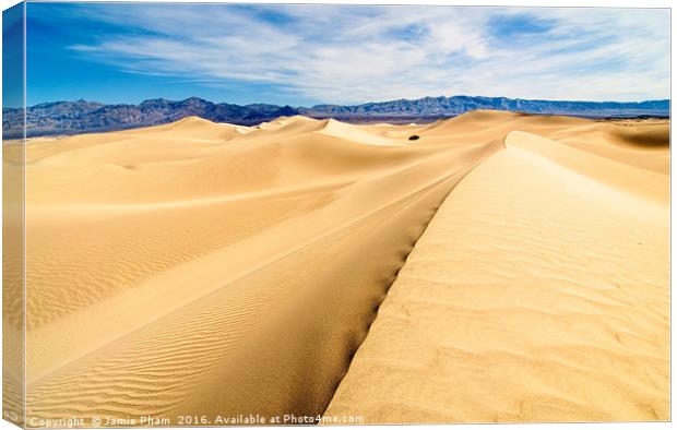 Panoramic view of sand dunes in Death Valley Canvas Print by Jamie Pham