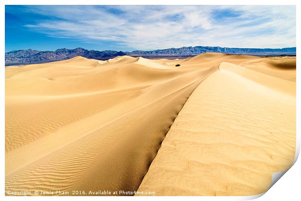 Panoramic view of sand dunes in Death Valley Print by Jamie Pham