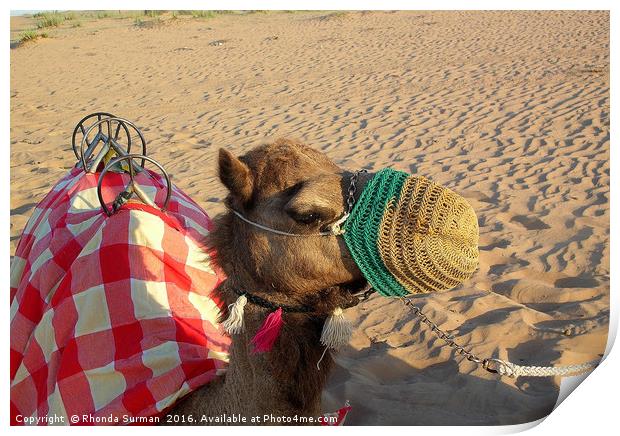 Patiently waiting camel Print by Rhonda Surman