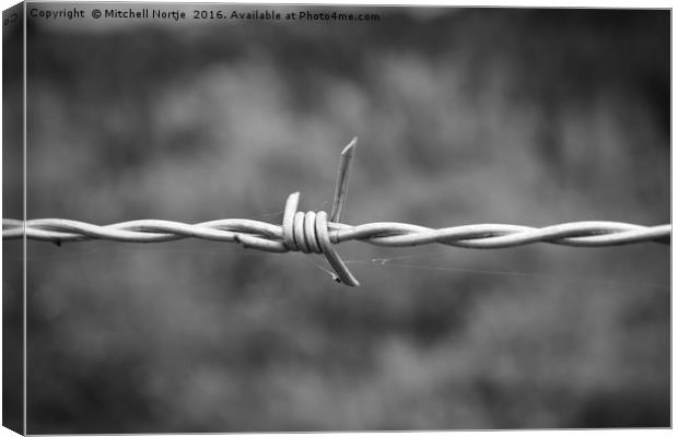 Barb wire fence Canvas Print by Mitchell Nortje