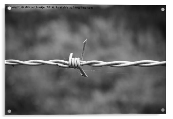 Barb wire fence Acrylic by Mitchell Nortje