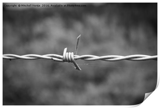 Barb wire fence Print by Mitchell Nortje