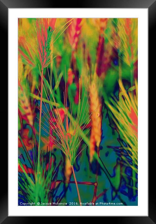 FIERY FERNS Framed Mounted Print by Jacque Mckenzie