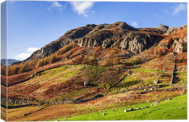 An Autumn afternoon by the Langdale Pikes Canvas Print by Ian Duffield