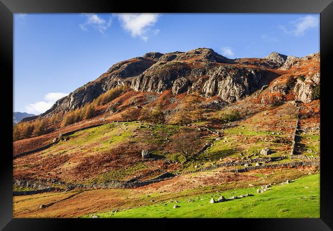 A sunny Autumnal view of the  Langdale Pikes Framed Print by Ian Duffield