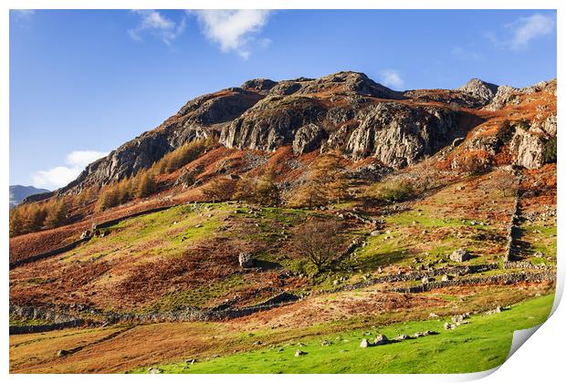 A sunny Autumnal view of the  Langdale Pikes Print by Ian Duffield