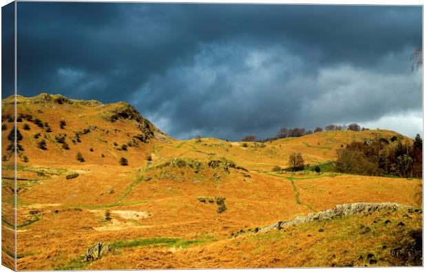 Lakeland Fells at Elterwater Canvas Print by Nick Jenkins