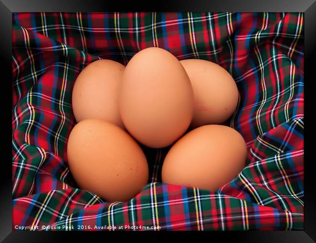 Scotch Eggs Framed Print by Susie Peek