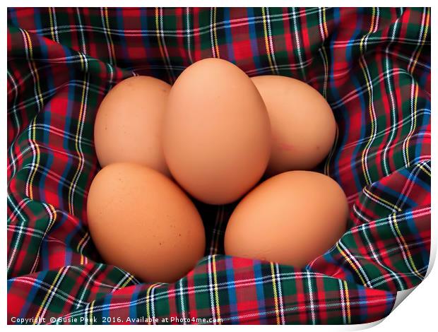 Scotch Eggs Print by Susie Peek