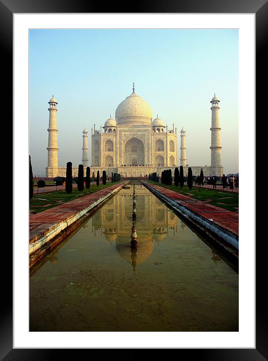 The Taj Mahal Framed Mounted Print by Jacqi Elmslie