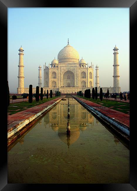 The Taj Mahal Framed Print by Jacqi Elmslie