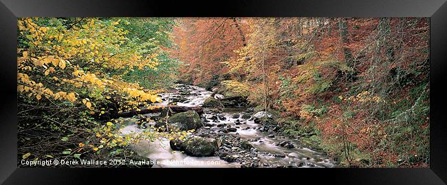 Autumn in Perthshire Framed Print by Derek Wallace