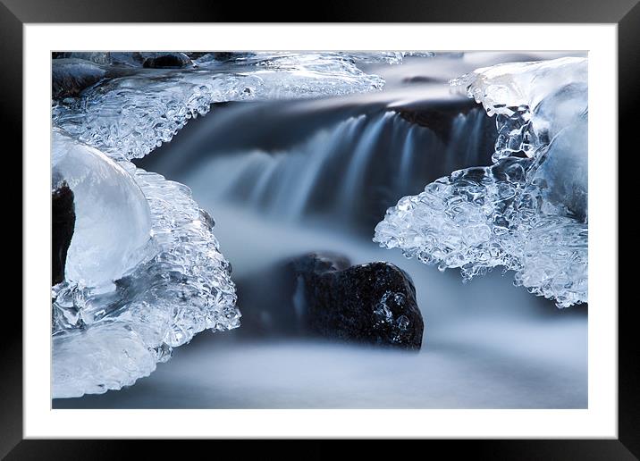 The Beidog in Ice! Framed Mounted Print by Izzy Standbridge
