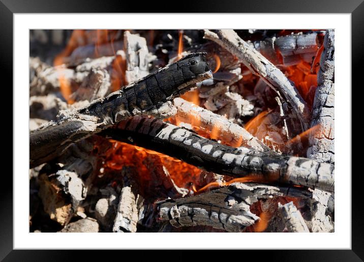 brushwood fire Framed Mounted Print by Adrian Bud