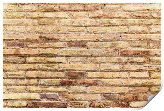 Brick Wall Texture Print by Radu Bercan