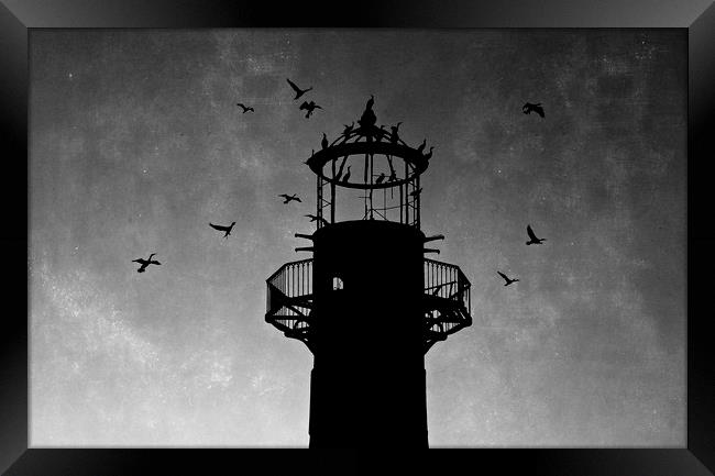 Lighthouse at sunset in silhouette  Framed Print by Jackie Davies