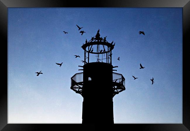 Lighthouse in silhouette   Framed Print by Jackie Davies