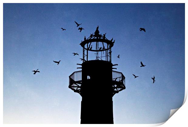 Lighthouse in silhouette   Print by Jackie Davies
