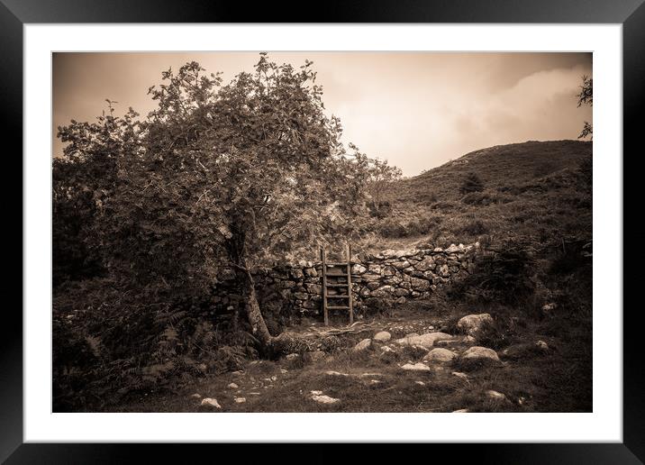 A country walk Framed Mounted Print by Sean Wareing