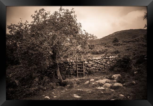 A country walk Framed Print by Sean Wareing