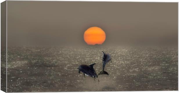 Dolphin Sunset Canvas Print by Graham Pickavance