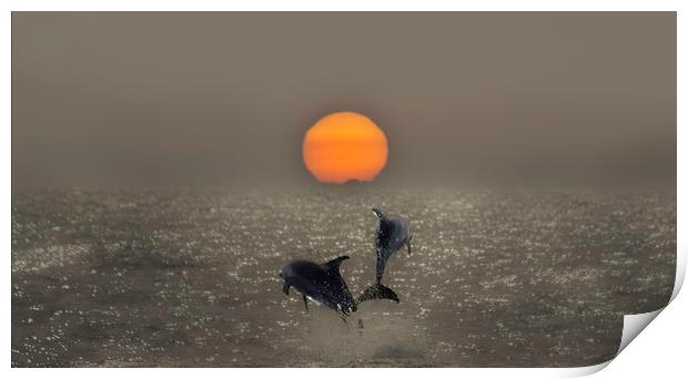Dolphin Sunset Print by Graham Pickavance
