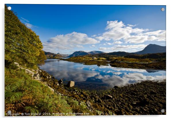 Loch Glendhu scene Acrylic by Tom Dolezal