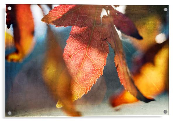 Autumn Leaves with Texture Acrylic by Jackie Davies