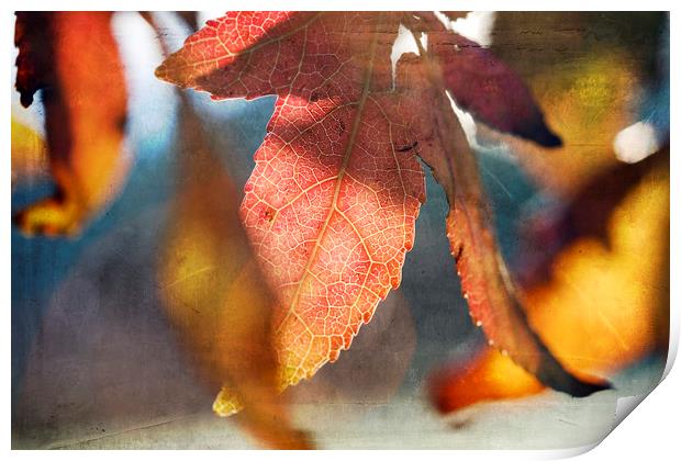 Autumn Leaves with Texture Print by Jackie Davies