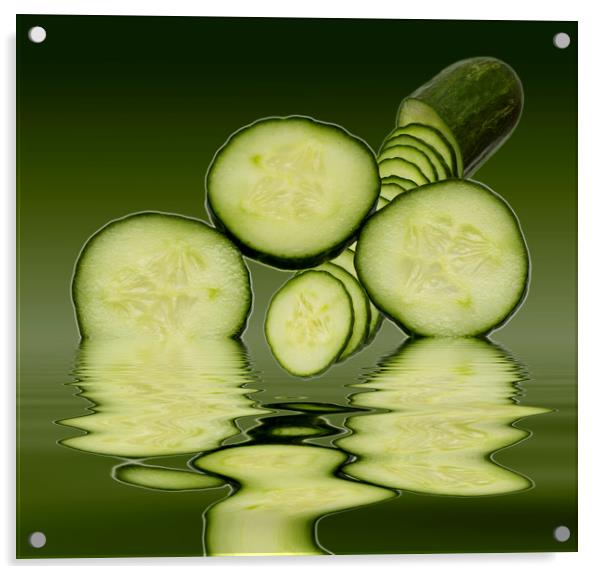 Cool as a Cucumber Slices Acrylic by David French