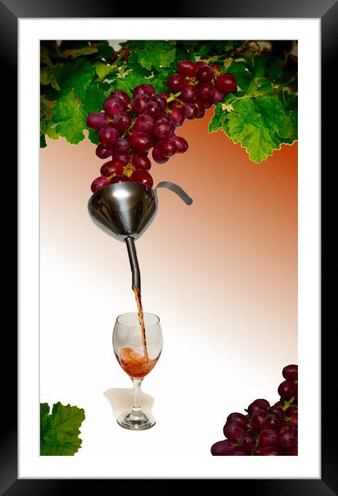 Grapes to wine Framed Mounted Print by David French