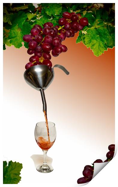Grapes to wine Print by David French