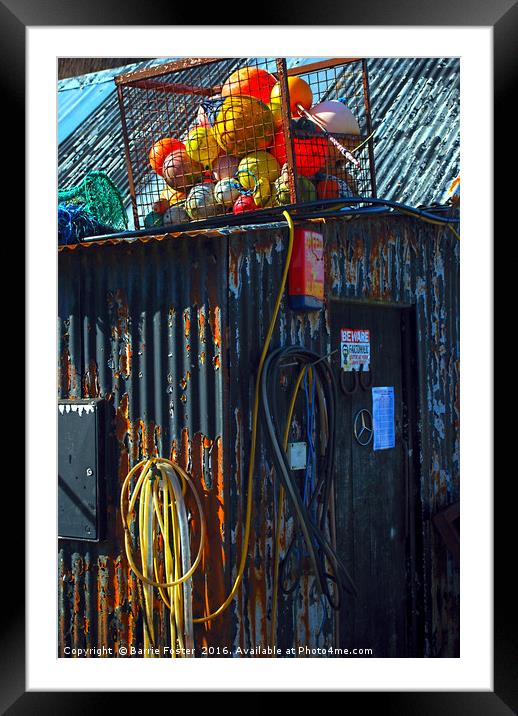 Wriggly Tin: Matt's Shed Framed Mounted Print by Barrie Foster