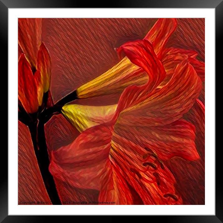 Fiery Passion Framed Mounted Print by Beryl Curran