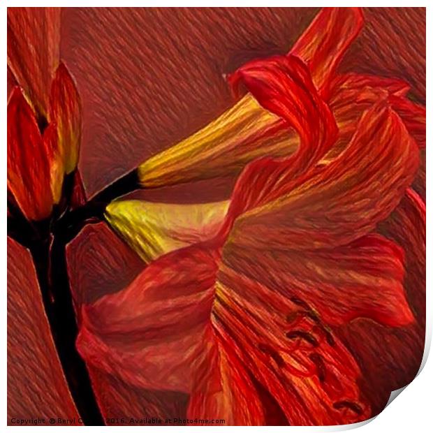 Fiery Passion Print by Beryl Curran