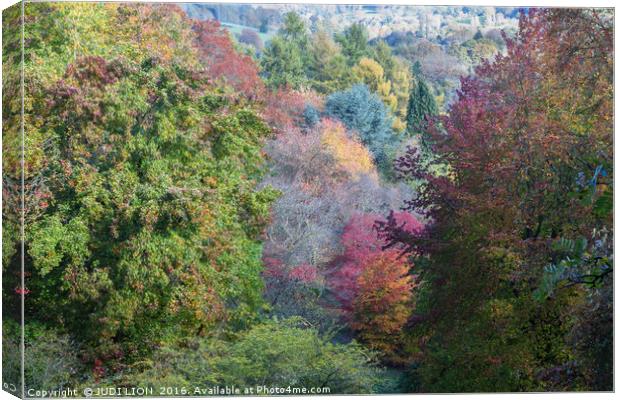 Glorious autumn colours Canvas Print by JUDI LION