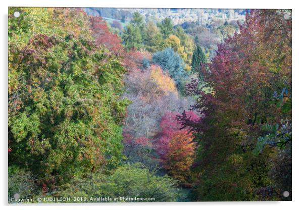 Glorious autumn colours Acrylic by JUDI LION