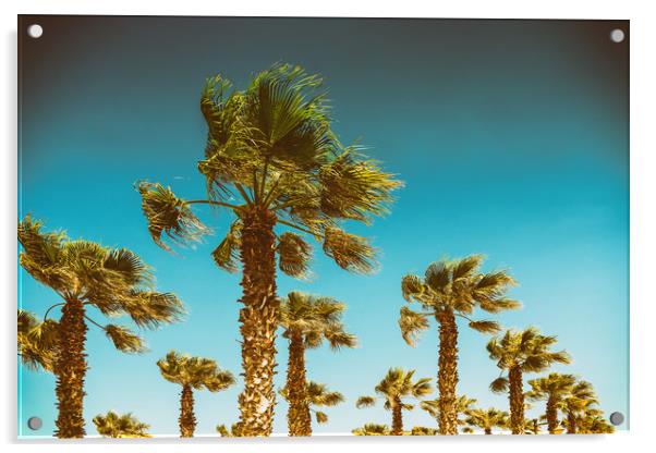 Green Palm Trees On Clear Blue Sky Acrylic by Radu Bercan