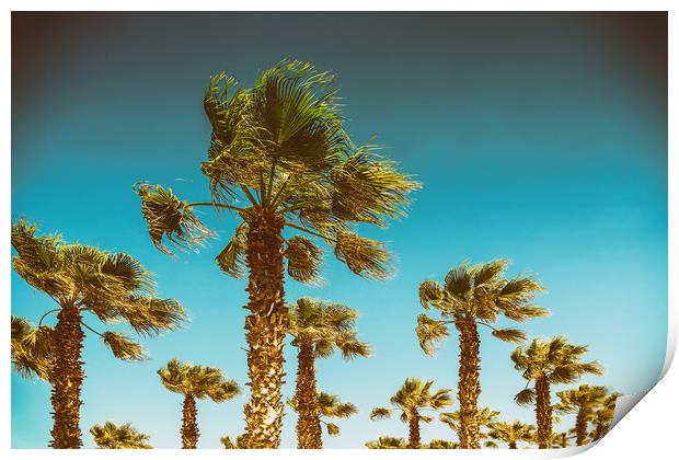 Green Palm Trees On Clear Blue Sky Print by Radu Bercan