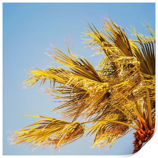 Green Palm Trees On Clear Blue Sky Print by Radu Bercan