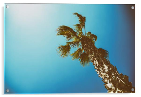 Green Palm Trees On Clear Blue Sky Acrylic by Radu Bercan