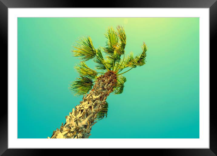 Green Palm Trees On Clear Blue Sky Framed Mounted Print by Radu Bercan