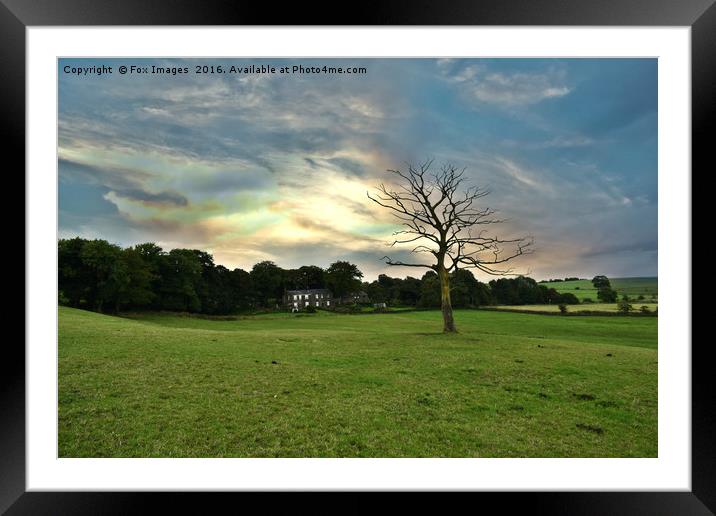 Birtle Lancashire Framed Mounted Print by Derrick Fox Lomax