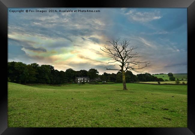 Birtle Lancashire Framed Print by Derrick Fox Lomax