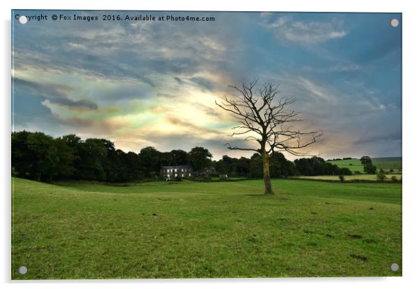 Birtle Lancashire Acrylic by Derrick Fox Lomax